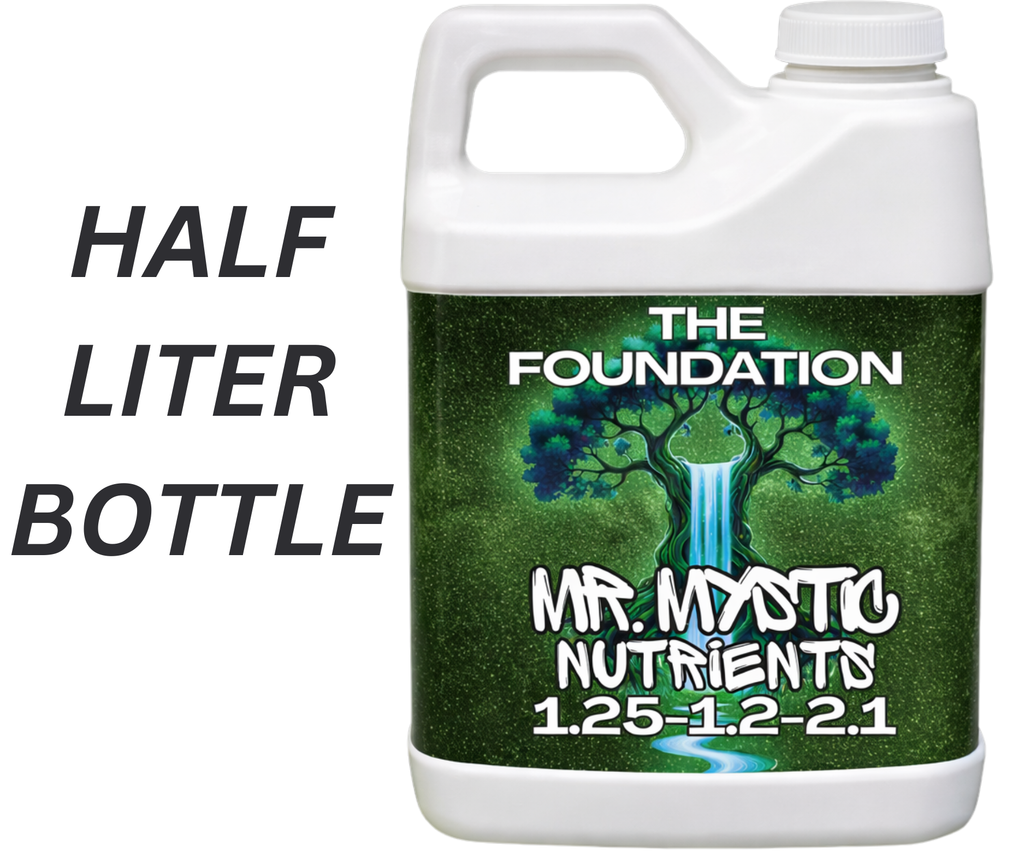 THE FOUNDATION
