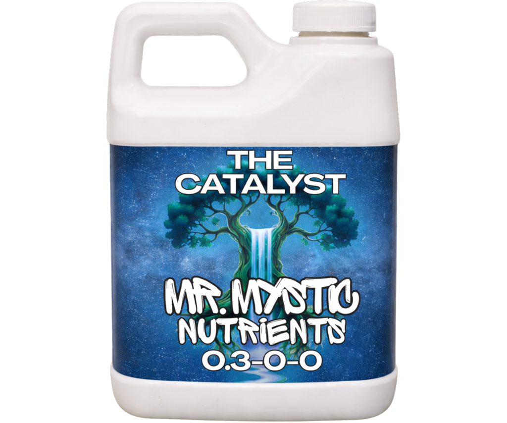 THE CATALYST