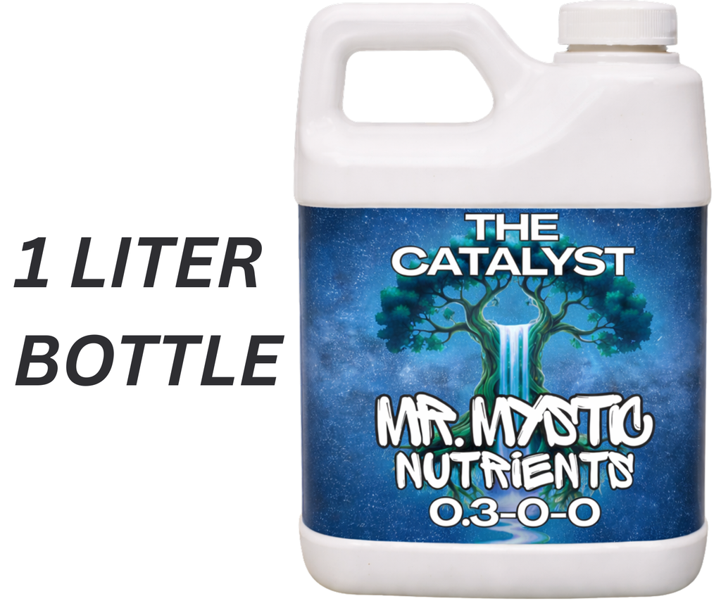 THE CATALYST