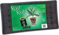 Root Riot Cubes Tray- 50 PACK